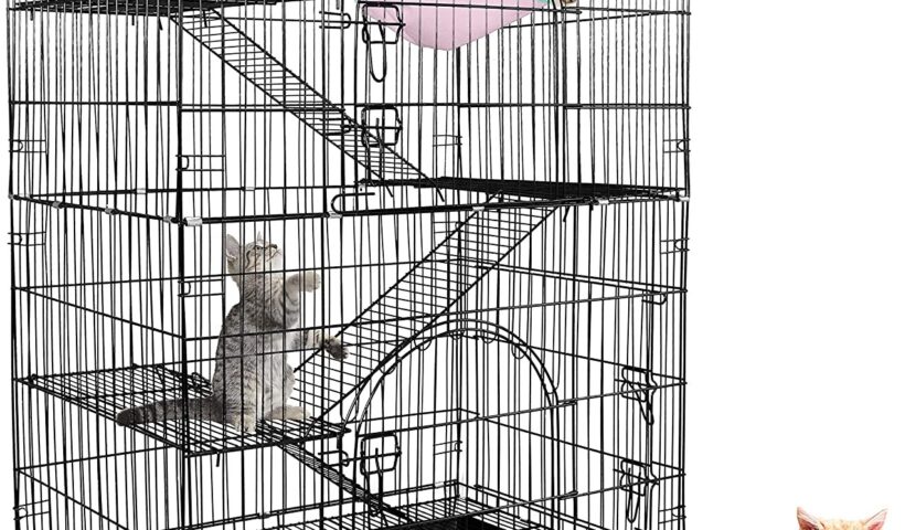 How to Choose Cat Cages and Playpens